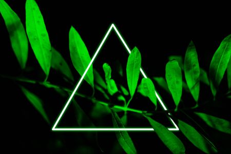 Bright green tropical leaves with neon rectangular frame minimalistic background. Floral backdrop...