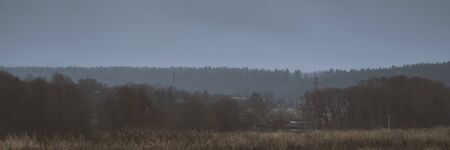 Banner of nature background. Wallpaper pattern. Dark scary park with gray clouds. Landscape misty panorama. Stock photoの写真素材