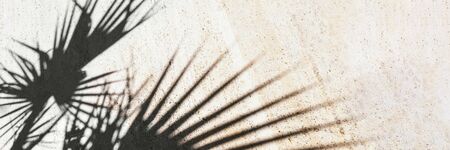 Black shadow of tropical plants on tiles. Beautiful style of light background. Sunny summer day. Banner of wall or floor with shade. Stock photo.の写真素材