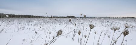 Blue sky with snow field. Great background with copyspace. Winter and snow landscape. Stock photo.の写真素材