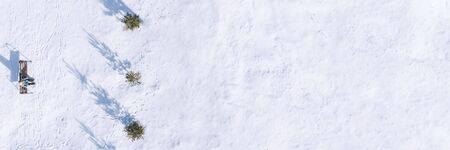 Beautiful landscape with trees, benches, hard shadow and snow. Snowy forest. Outside travel...