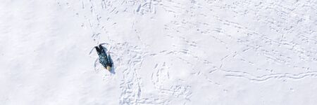 Banner of happy girl lying on snow and making snow angel figure. Background with copyspace. Freedom,...