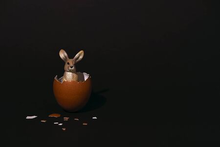 Easter egg, eggshell and bunny on dark background with copyspace. Banner of moody minimalistic decoration concept. Stock photo.の写真素材