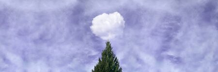 Green Christmas tree with white cloud on background of lilac sky. Nature background with copyspace. Peace, surrealism, freedom, mental health concept. Stock photo.の写真素材