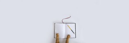 Red cat paws on diary on gray background. Business, education, school pet concept. Banner with copy space. Stock photoの写真素材