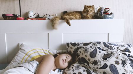 A young girl lying and sleeping in a white bed. A red cat sits above his head. The concept of home comfort and happiness.の写真素材