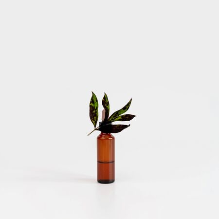 Natural cosmetic bottle on gray background with green plant. New normal concept. Balancing composition from figures. Natural, beauty body health cosmetic products.の写真素材