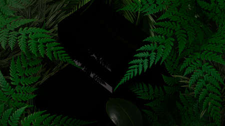 3D illustration, 3D rendering. Dark plant background.の写真素材