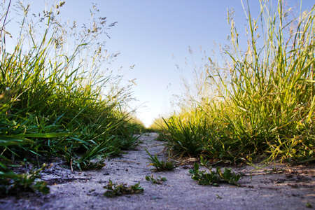 rural roadの写真素材