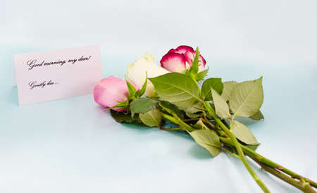 bouquet of rosesの写真素材