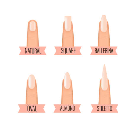 Professional manicure different shapes of nails. Types of fashion Different nail shapes. Various manicureのイラスト素材