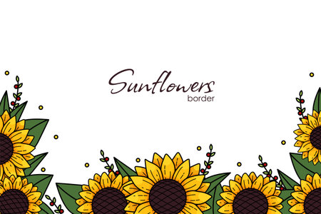 Sunflower frame. Sunflower vector background for image and text. Collection decorative floral design elements. Vector illustration EPS10のイラスト素材