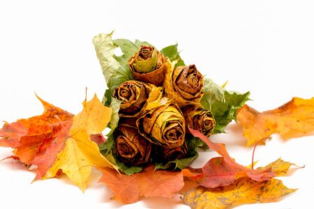 handmade bouquet using maple leaves for a gift isolated on white backgroundの写真素材