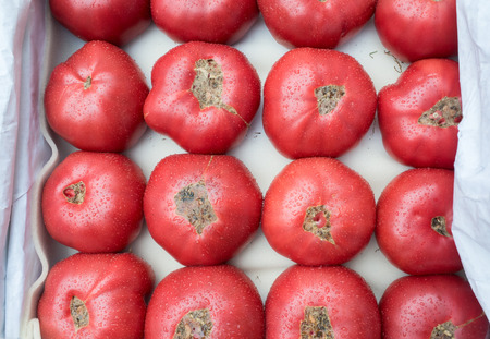 red tomatoes on the counter of the storeの写真素材