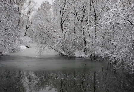 Winter landscape. Snow-covered trees in the park Kuzminki in Moscow.の写真素材