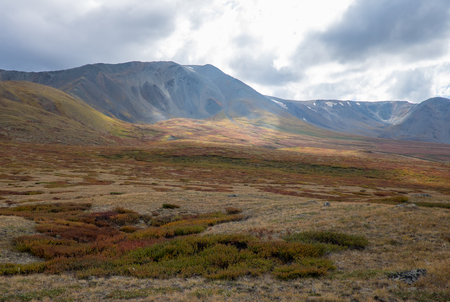 Mountain landscape in the Republic of Altai.の写真素材