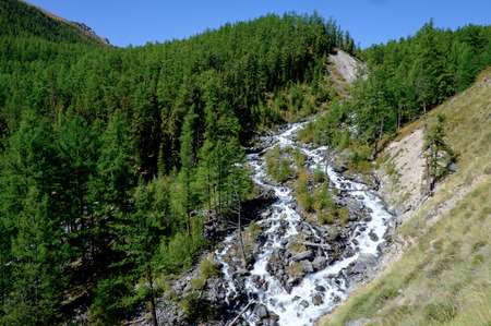 Mountain landscape. Mountain river in the Altai Republic.の写真素材