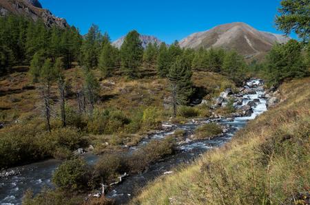 Mountain landscape. Mountain river in the Altai Republic.の写真素材