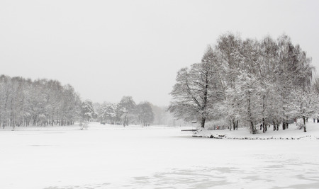 Winter landscape. Snow-covered trees in the park Kuzminki in Moscow.の写真素材
