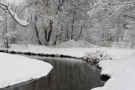 Winter landscape. Snow-covered trees in the park Kuzminki in Moscow.の写真素材
