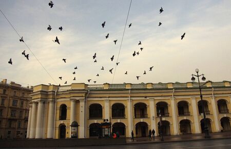Pigeons in the sky above the Gostiny Dvor on Nevsky Prospekt in St. Petersburg.の写真素材