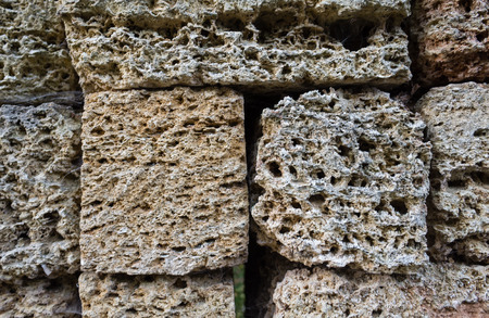 Coquina background. Grunge fossil limestone texture.のeditorial素材