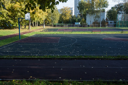 Yellow fallen leaves on a sports fieldの写真素材
