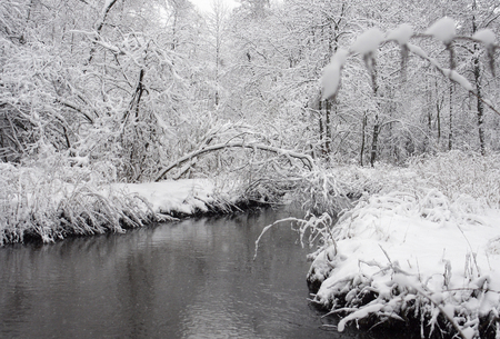 Winter landscape. The snow coating the trees on the river Bank in winter Park.の写真素材