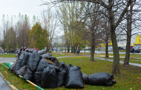 Black bags with garbage on the green grass in the fall.の写真素材