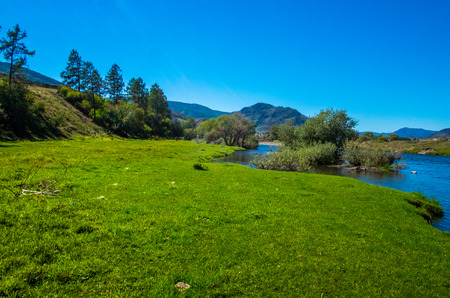 Landscape. Green glade on the river bank.の写真素材