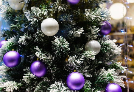 Christmas trees at the Manezh Square in Moscowの写真素材