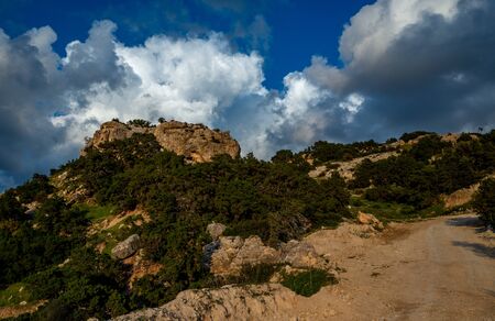 Cedar-covered hills on the Mediterranean coast on the island of Cyprus.の写真素材