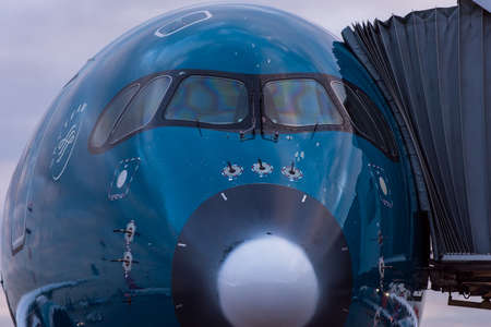 October 29, 2019, Moscow, Russia. Plane Airbus A350-900 Vietnam Airlines at Sheremetyevo airport in...