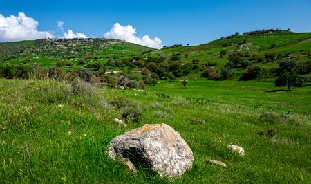 Water meadows and hills on the Mediterranean coast on the island of Cyprus.の写真素材