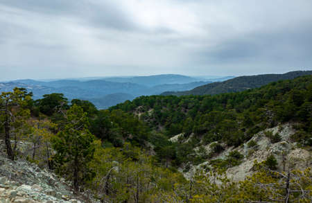 Forest-covered green hills on a bright Sunny summer day in the mountains of Central Cyprus.の写真素材
