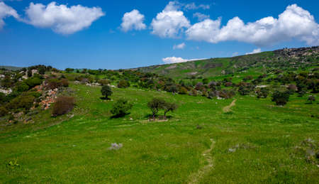 Water meadows and hills on the Mediterranean coast on the island of Cyprus.