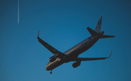 November 23, 2018, Moscow, Russia An Aeroflot aircraft is landing at Sheremetyevo airport.のeditorial素材