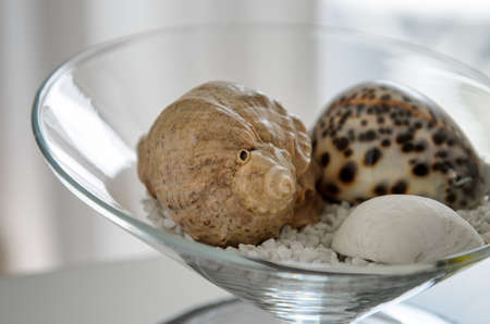 Three seashells in a bowlの写真素材