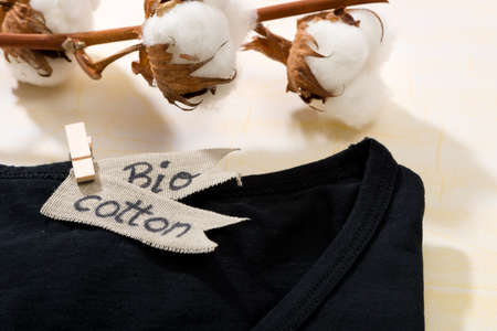 T-shirt and branch with cotton blossoms, showing use of natural fabrics
