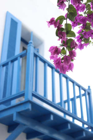 Pink bougainvillea flowers Against the backdrop of a blue wooden balconies.の写真素材