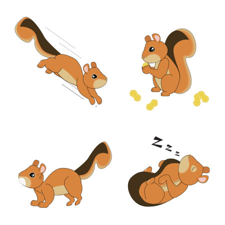 The squirrel gesture-Jump down, eat the nut, threaten and prepare to fight, sleep, cute brown squirrel, squirrel vectorのイラスト素材