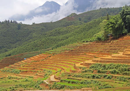 view of village CatCat with rice terraces, Vietnamの写真素材
