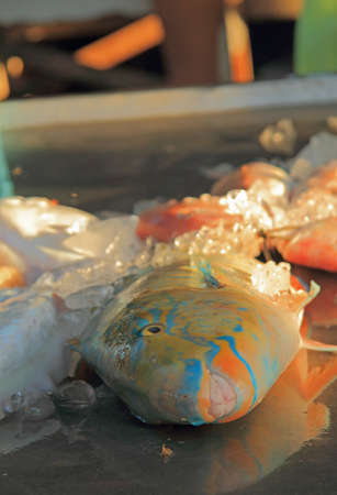 frozen fish on the street market, Phuket island, Thailand