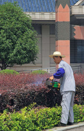 Wuhan, China - June 23, 2015: gardener with Gasoline Hedge Trimmer is doing his work, Wuhan, Chinaのeditorial素材