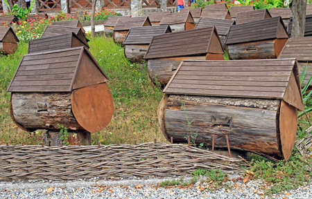 apiary on the road to lake Ritsa in Abkhazia