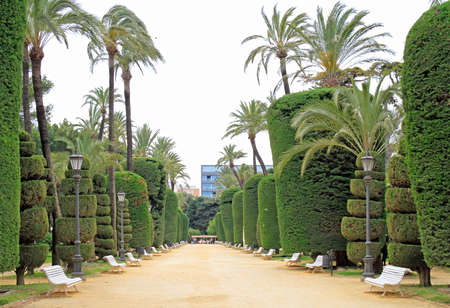 Parque Genoveses in the old part of the maritime city of Cadizの写真素材