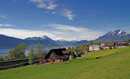 A rural landscape shot on the bank of Lake Lucerneの写真素材