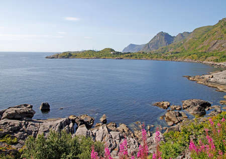 panoramic view of the coast at Lofoten islands in Norwayの写真素材