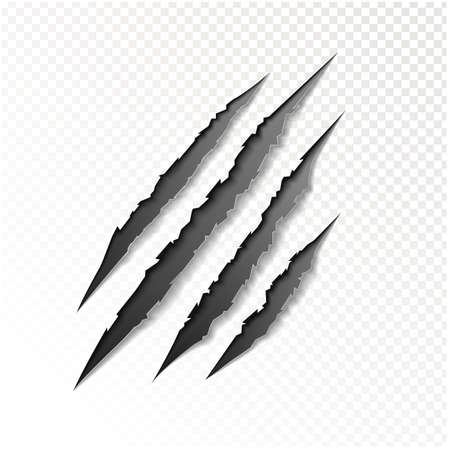 claws scratching animal vector illustration.のイラスト素材