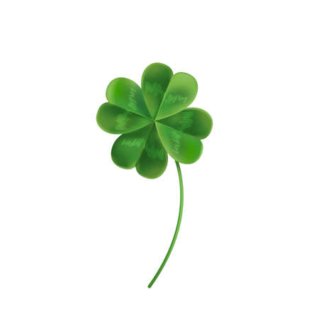 Four Leaf Clover for good luck. Vector illustration for the holiday of St. Patrick. Clover can be used on the website, magazine, newspaper, banner, poster.のイラスト素材